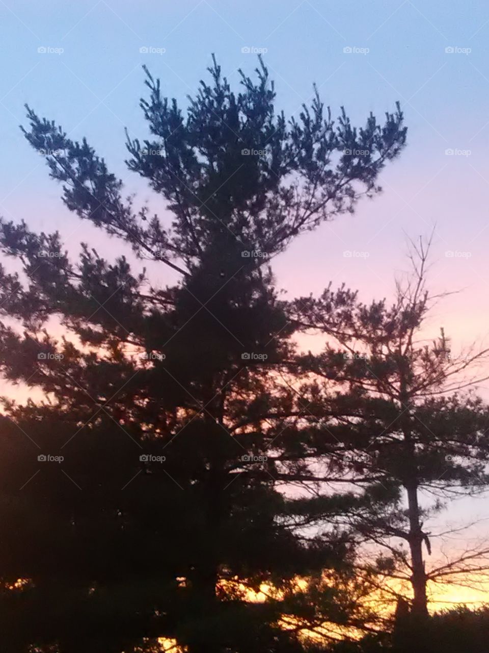 beautiful evening sky , looks like a painting.