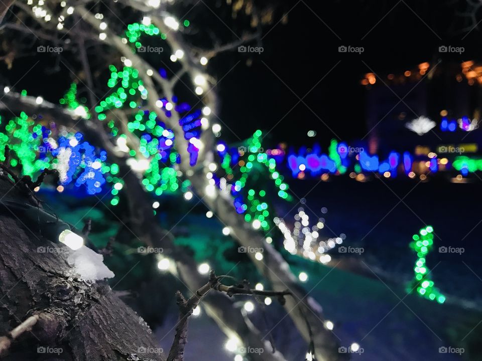 Christmas Lights. Meridian Idaho. 