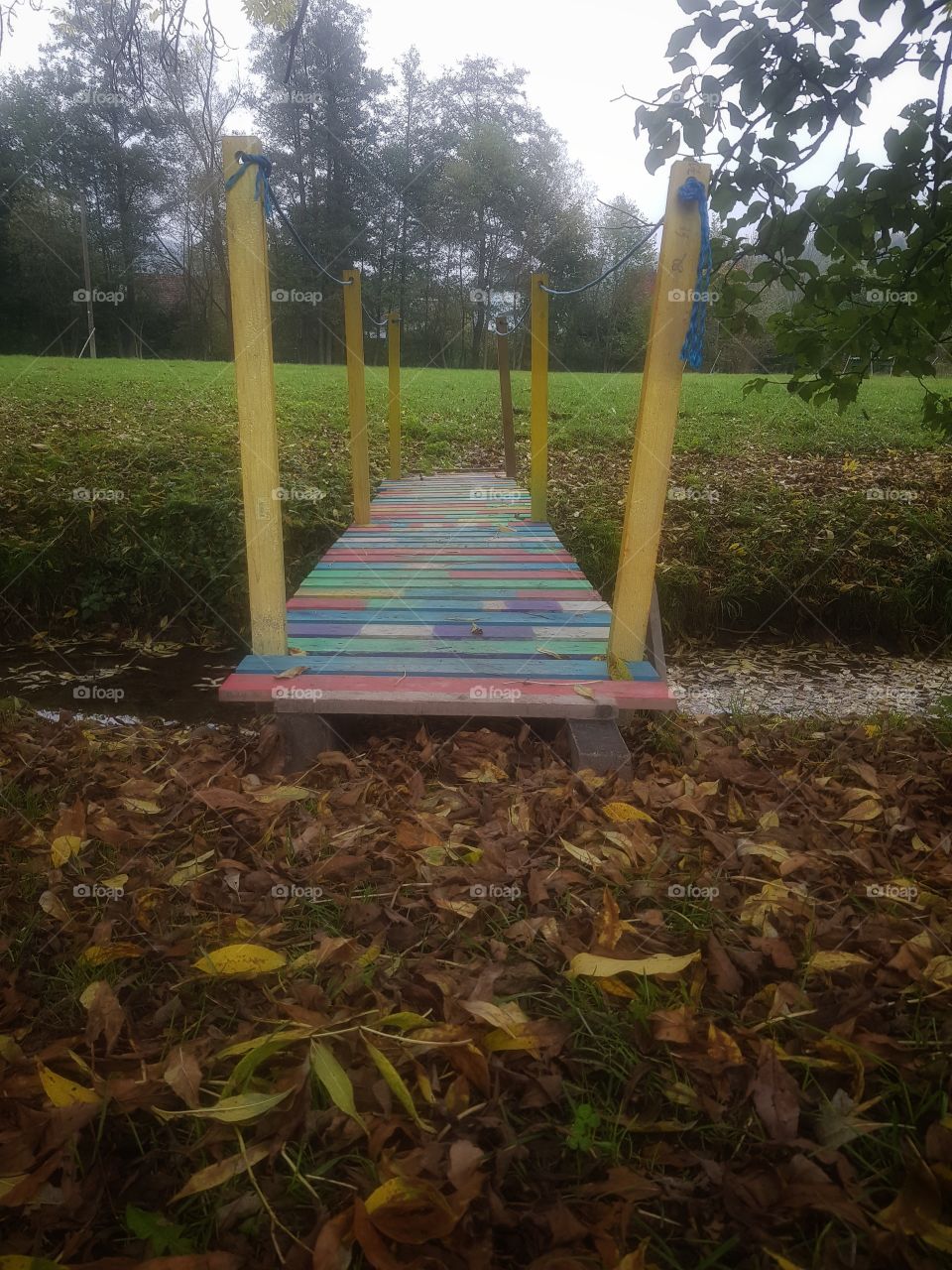 Bridge over small river