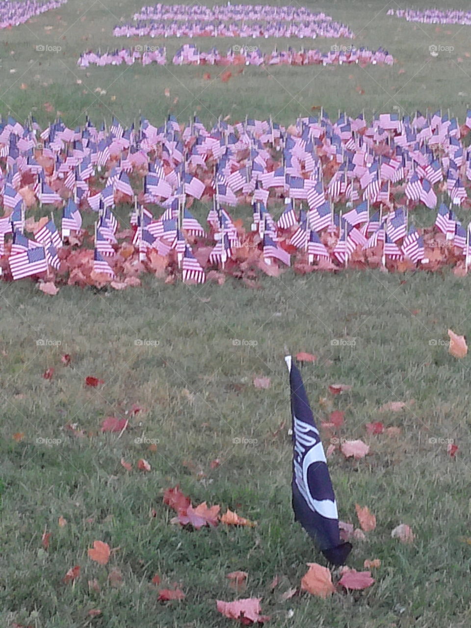 flags memorial field