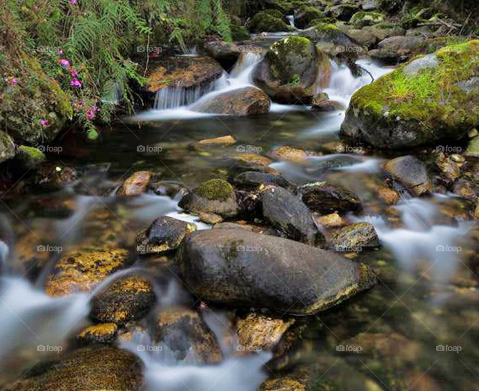 Travel around the world