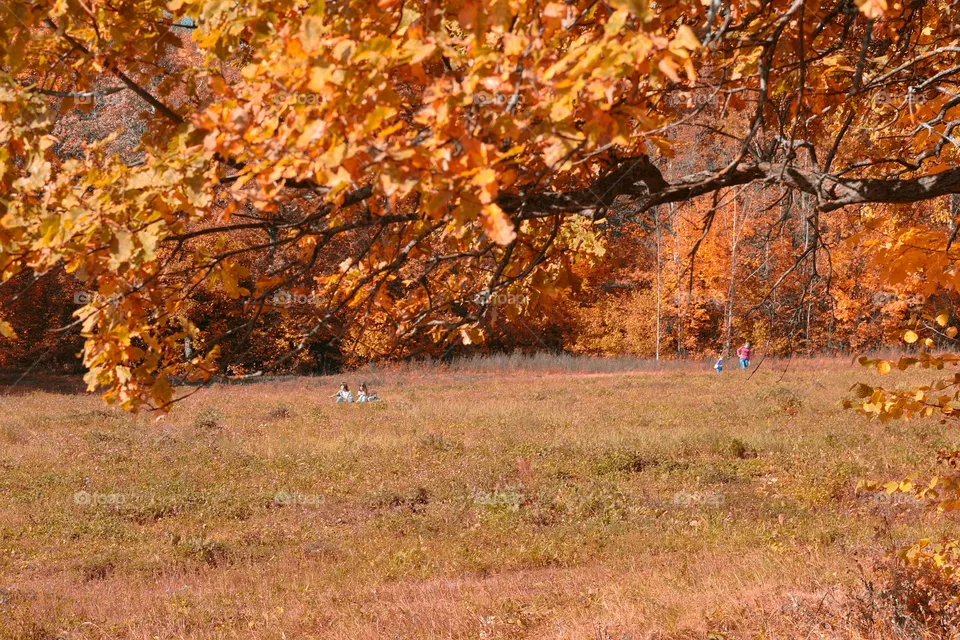 autumn