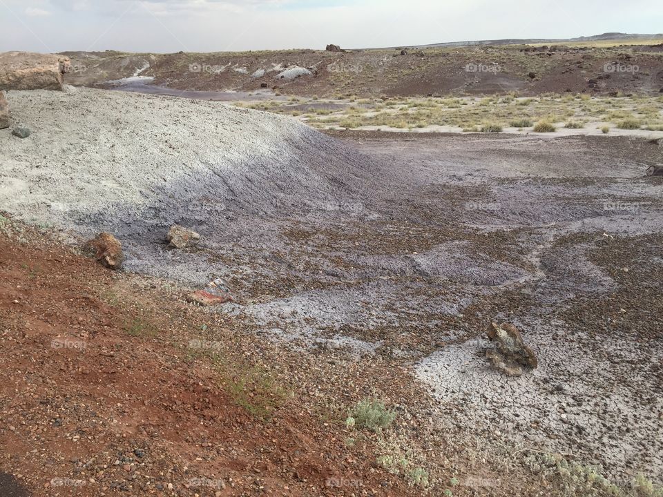 Painted desert 