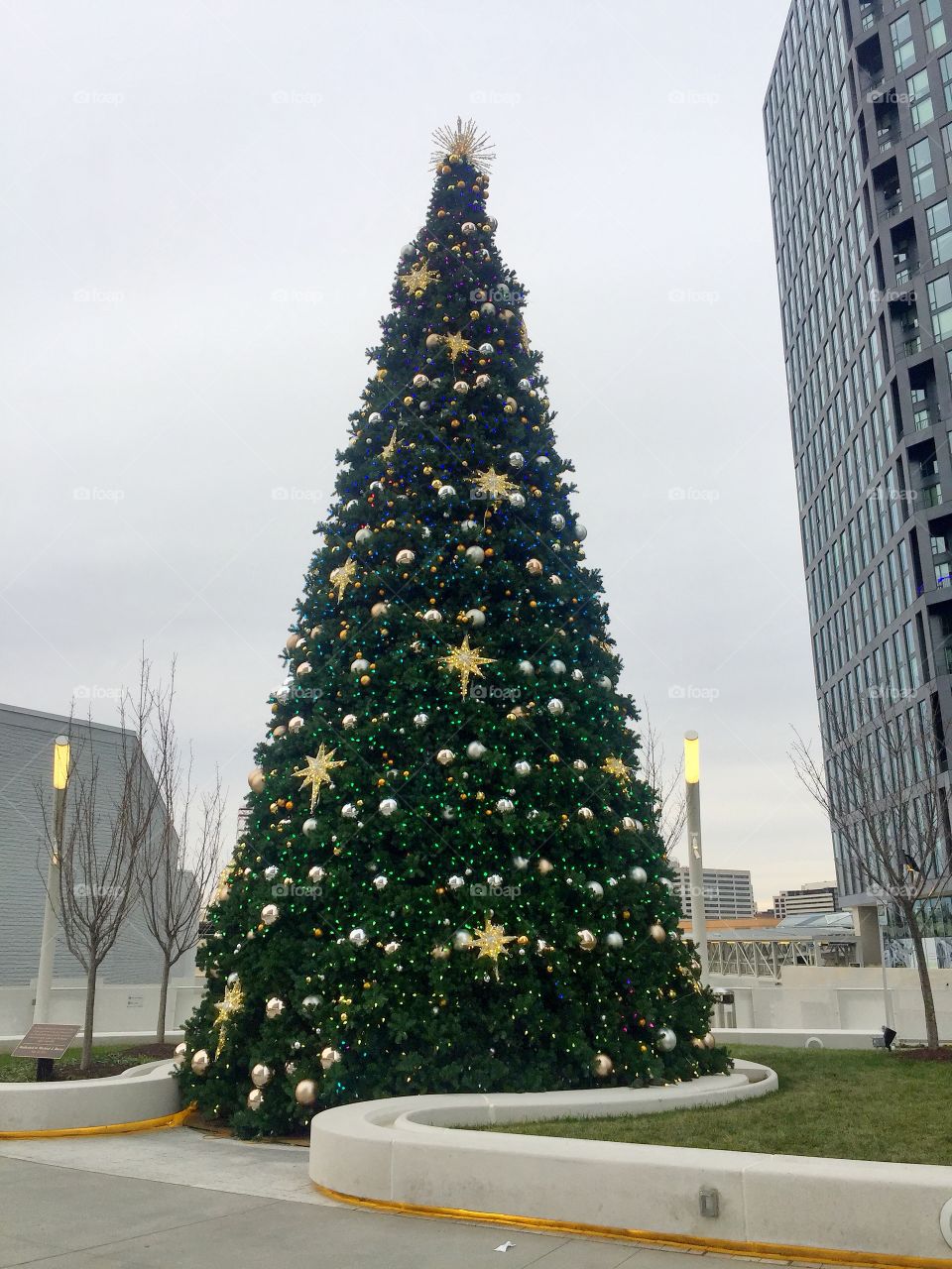 Holiday tree