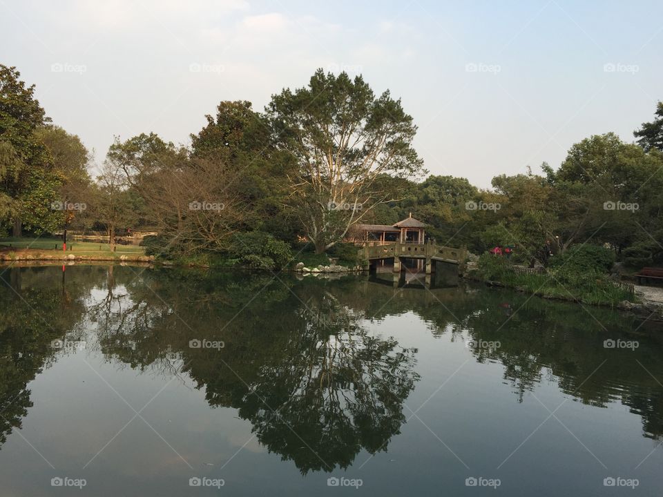 Reflection on the water 