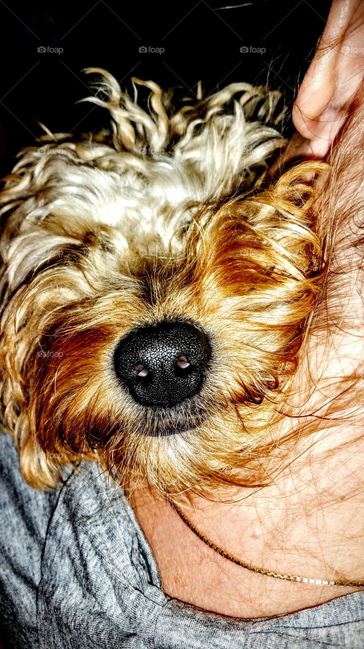 button nose with a grin