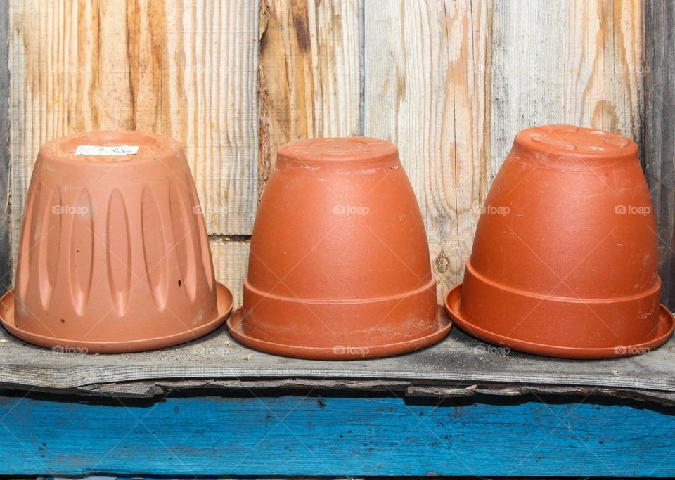 Flower pots on a wooden shelf