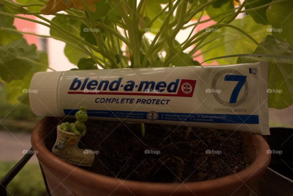 Enjoy some fresh white teeth with the gift of this little frog.