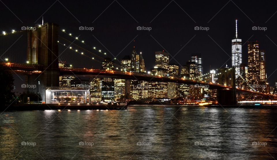 Downtown Manhattan Skyscrapers and Brooklyn Bridge 