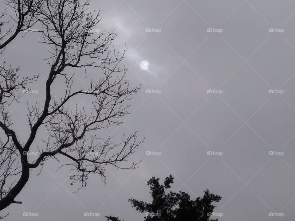 sun in an overcast sky