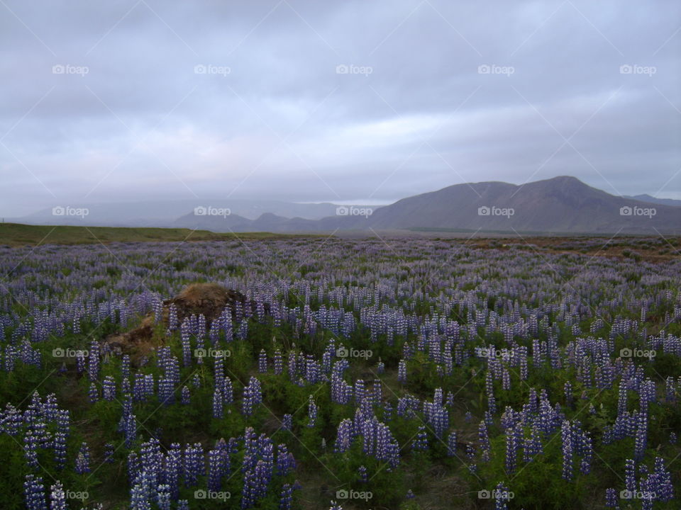 beautiful Iceland