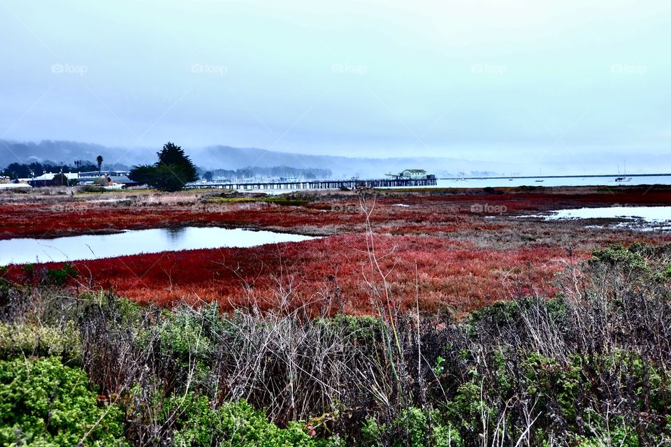 Coastal town, peir, ocean