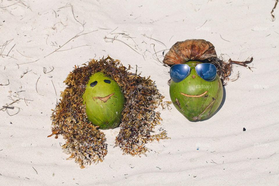 Funny coconuts on the beach