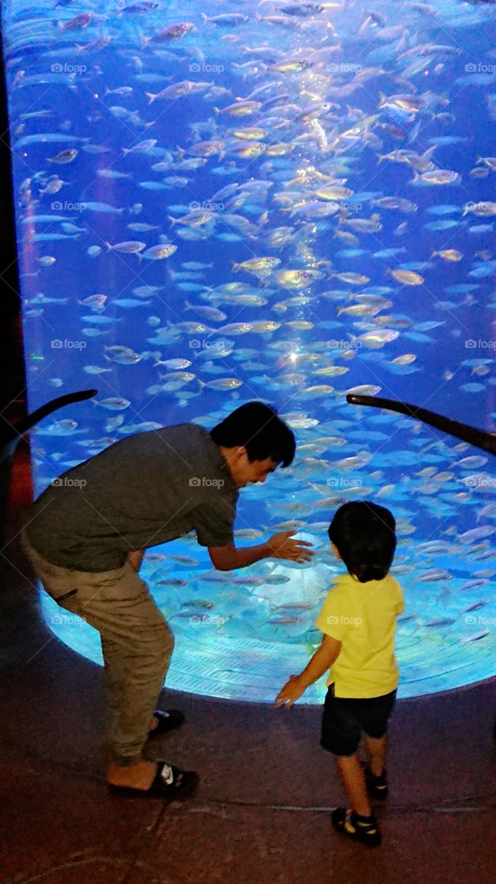 Dubai Atlantis Lost Chambers Aquarium