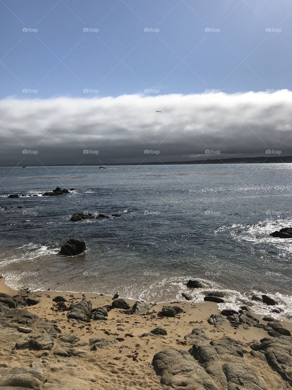 Monterey Bay Beach