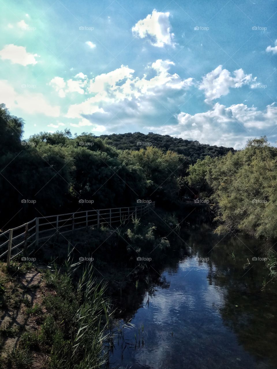 Just around the Riverbend