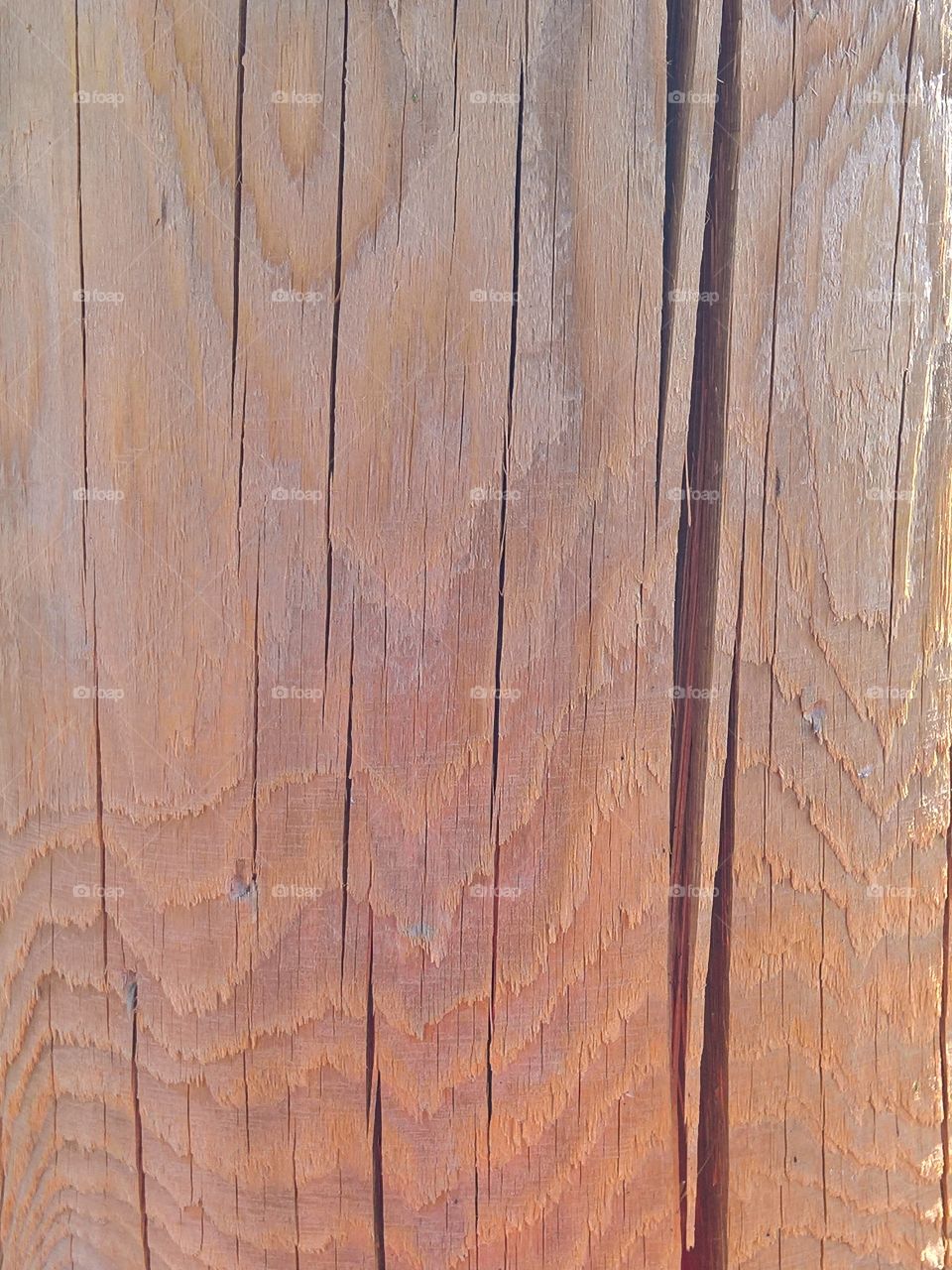 texture of a light wooden pole
