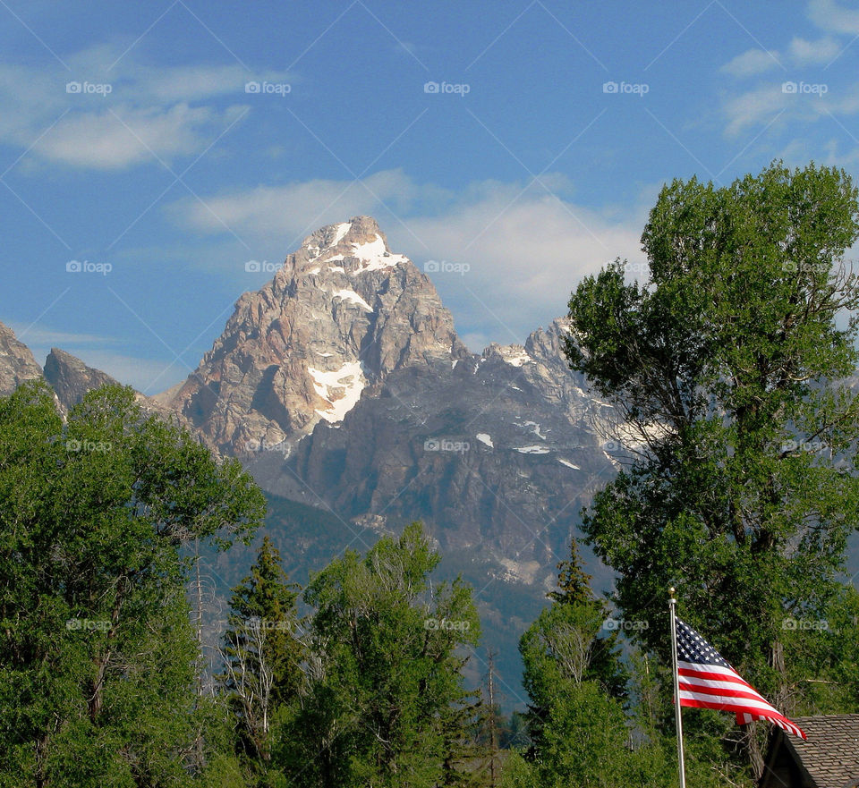 mountain trees usa flags by landon