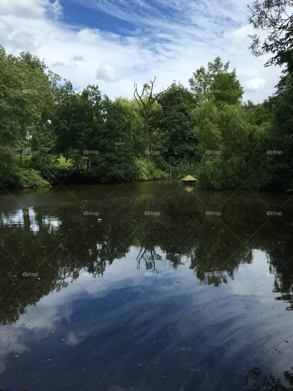 Reflections 