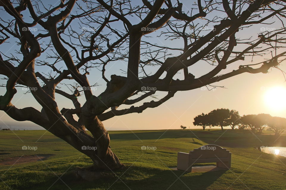 Solitude and the sunset