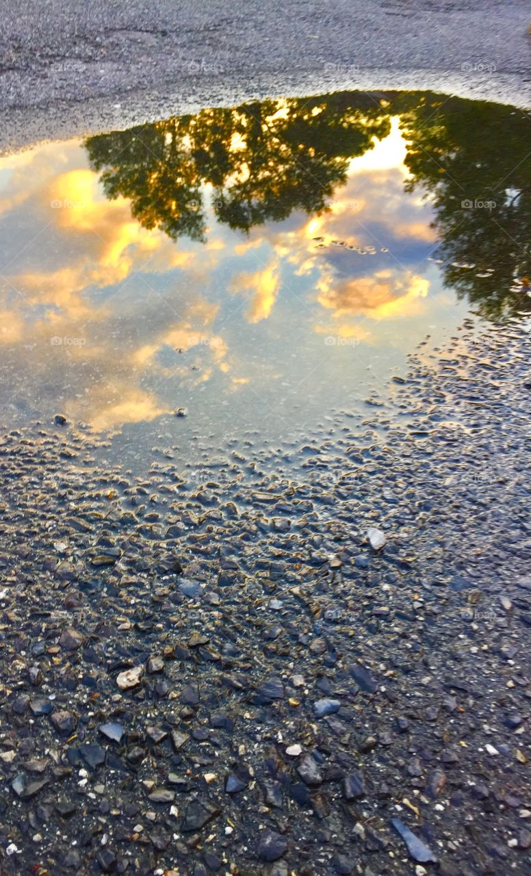 Incredible Autumn and Rainy day Reflections depict how beautiful and colorful the landscape really is in the fall. 