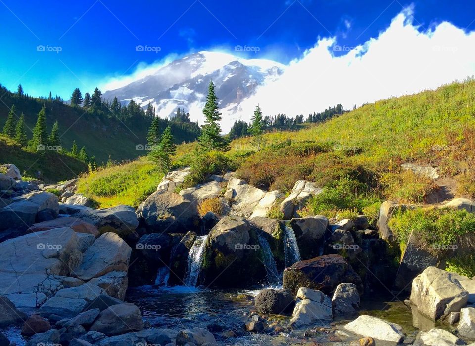 Mount Rainier, washington