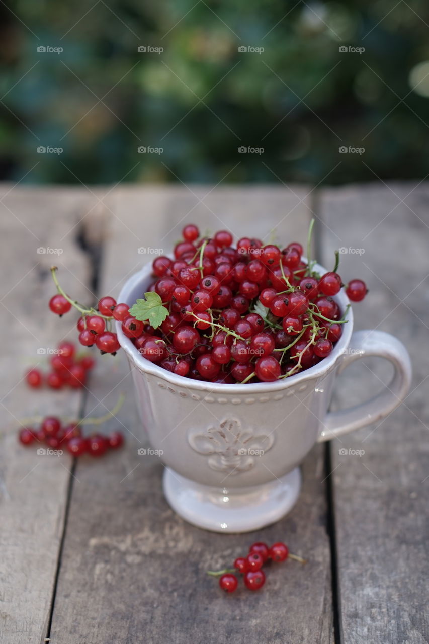 Redcurrant in the cup