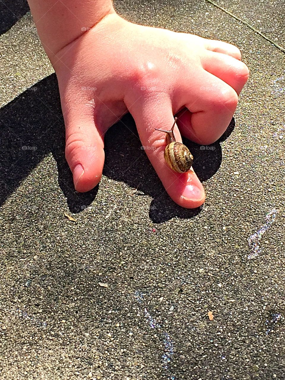 Snail meets boy