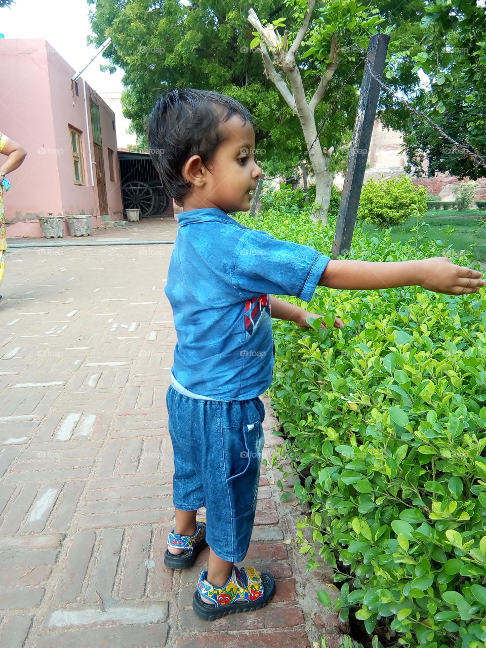 a little boy playing in an ancient fort of Bathinda city- a monument protected by Govt Of India- inner part