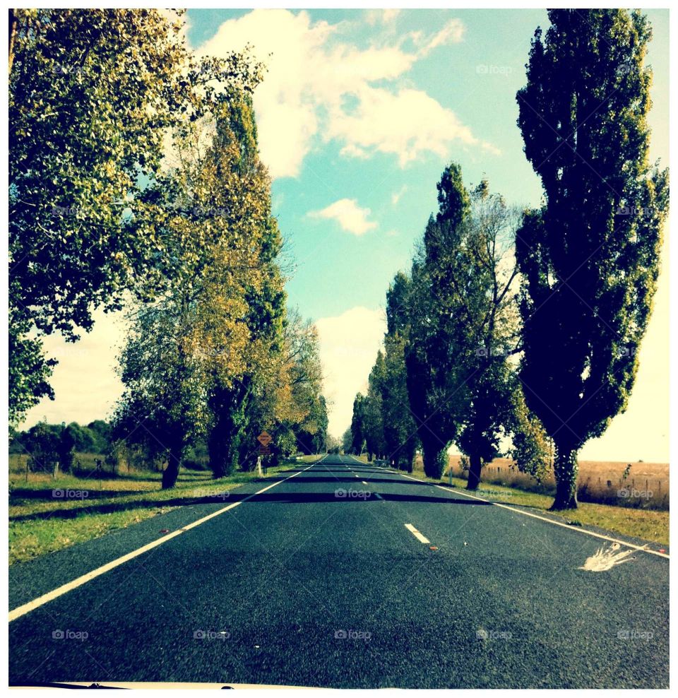 Long roads, endless summer
