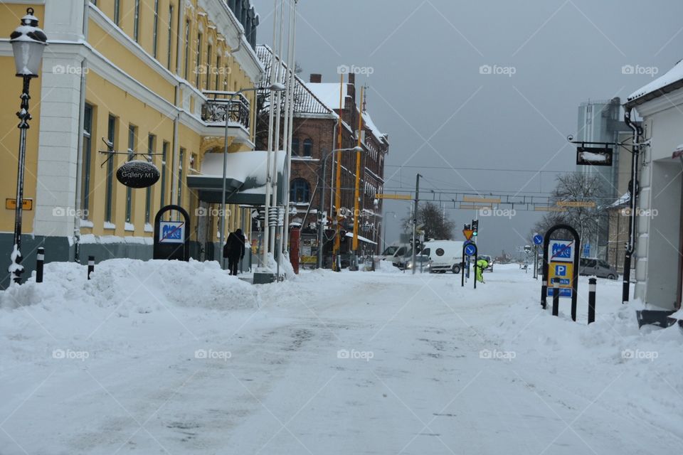 Snow, Winter, Cold, Snowstorm, Environment