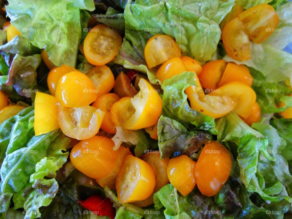 Fresh Tomatoes In A Salad