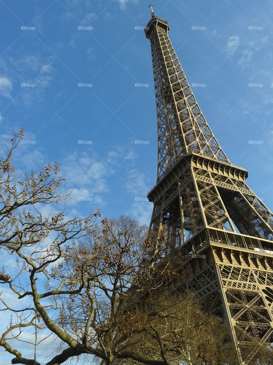 Eiffel Tower the Iron Lady under sun
