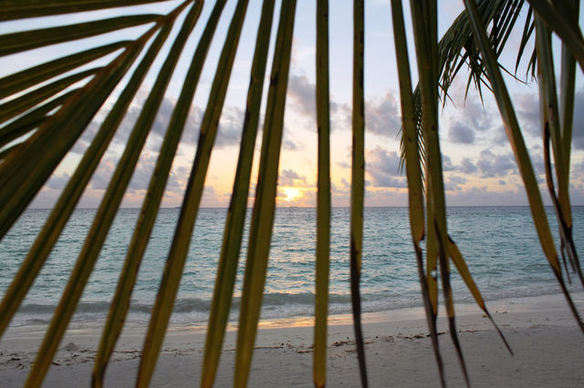 Maldives