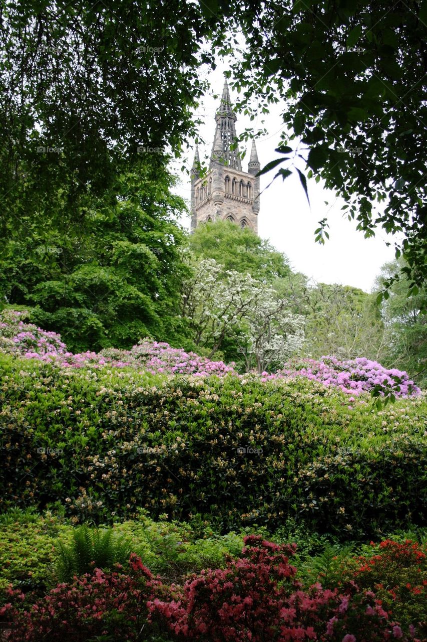 Glasgow university 
