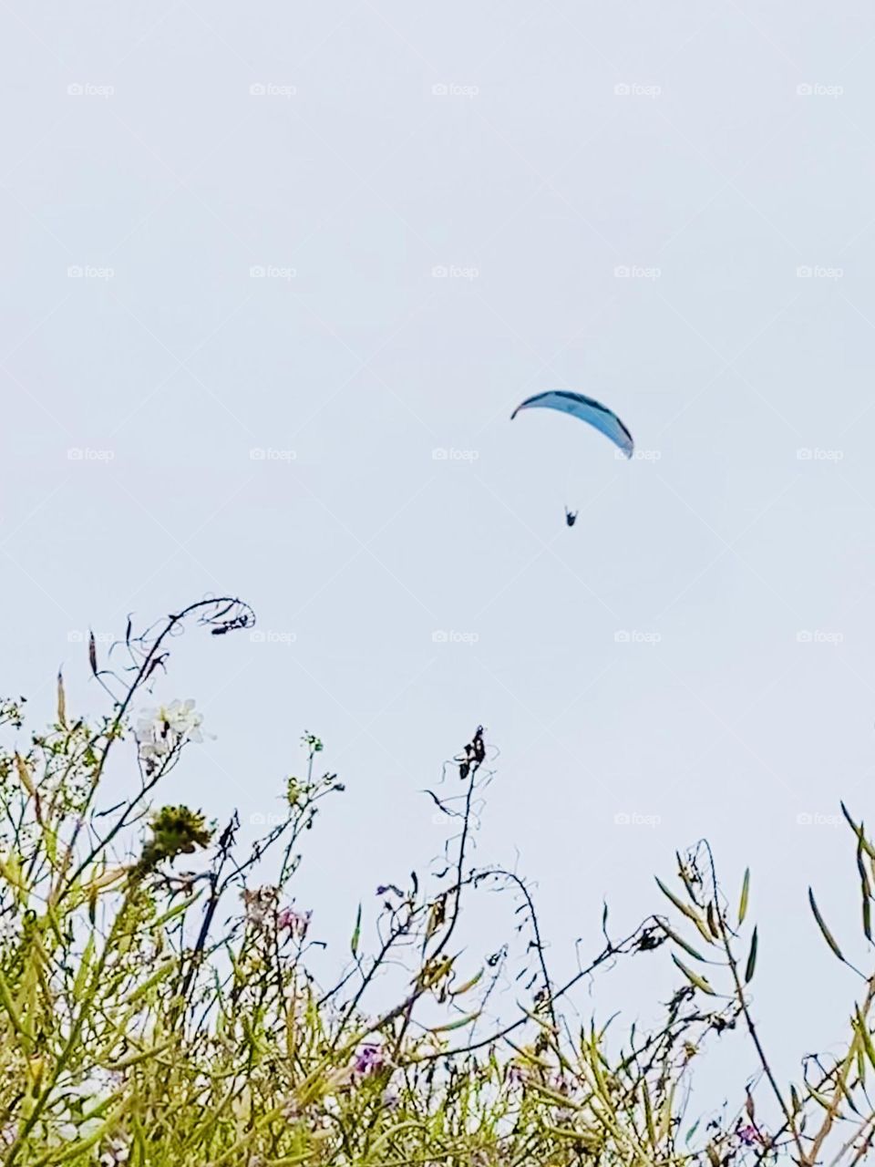 Parachute seen from ground