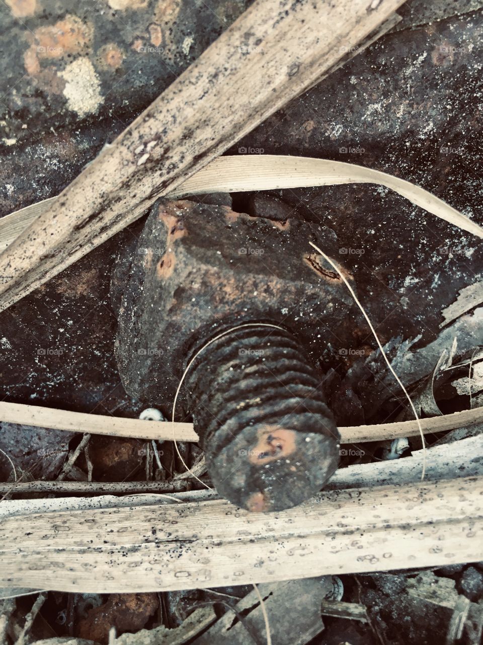 Old dramatic rusted screw