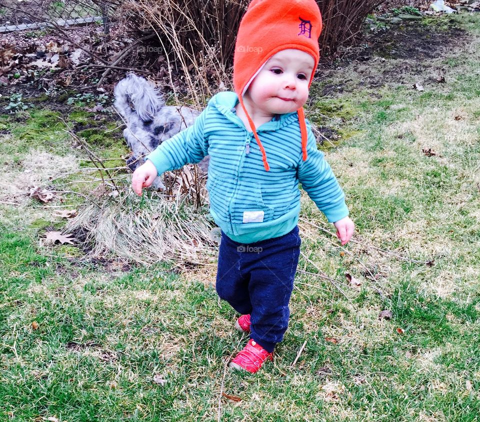 Playtime. Puppies play with baby