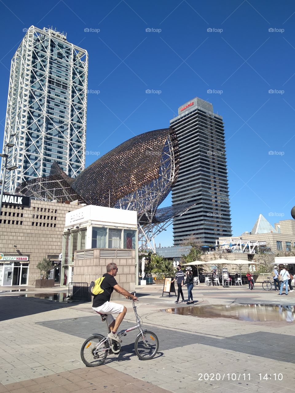 pez gigante en metálico