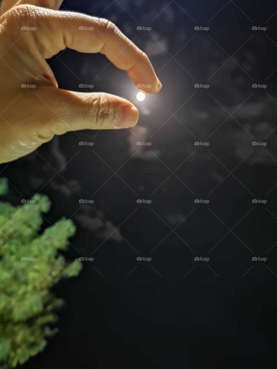 The moon between your fingers