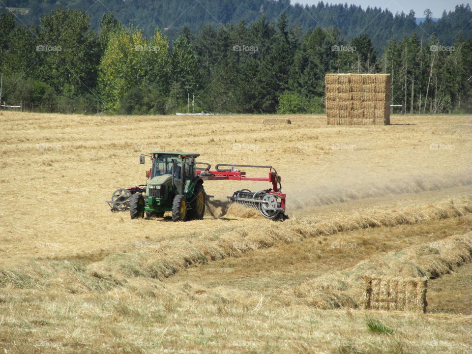 Agriculture, Vehicle, Tractor, Soil, Farm