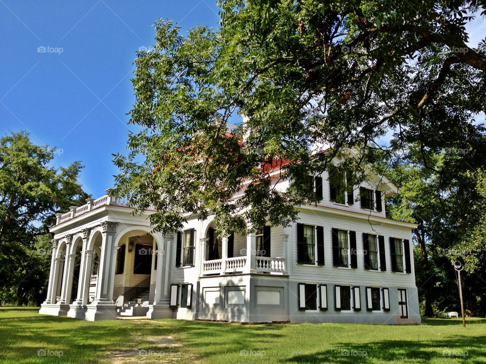 sky colors clouds trees by hayen