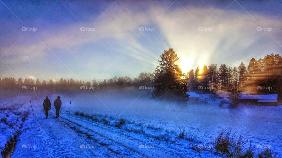 winter walk just before sunset