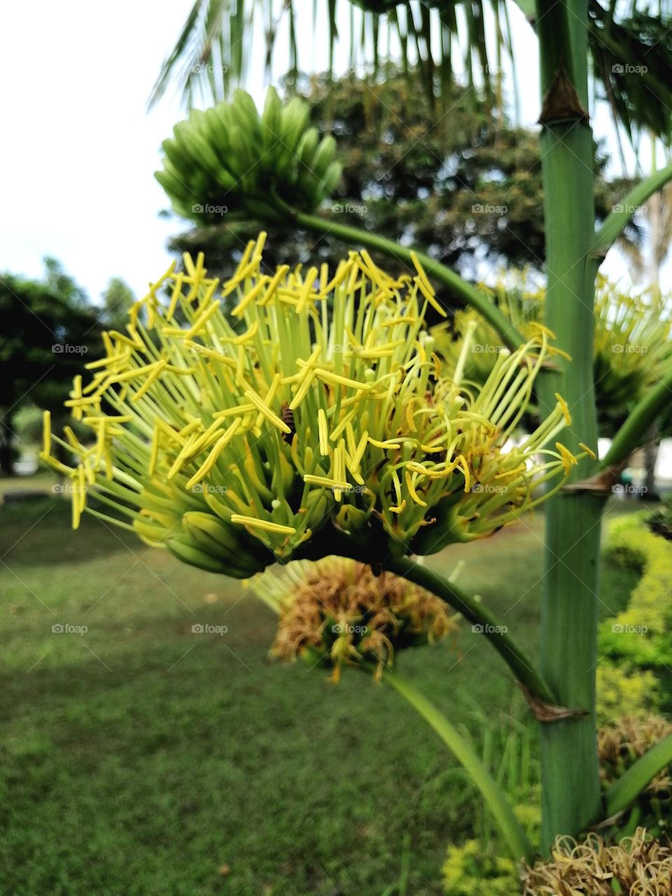 It's a beautiful day.