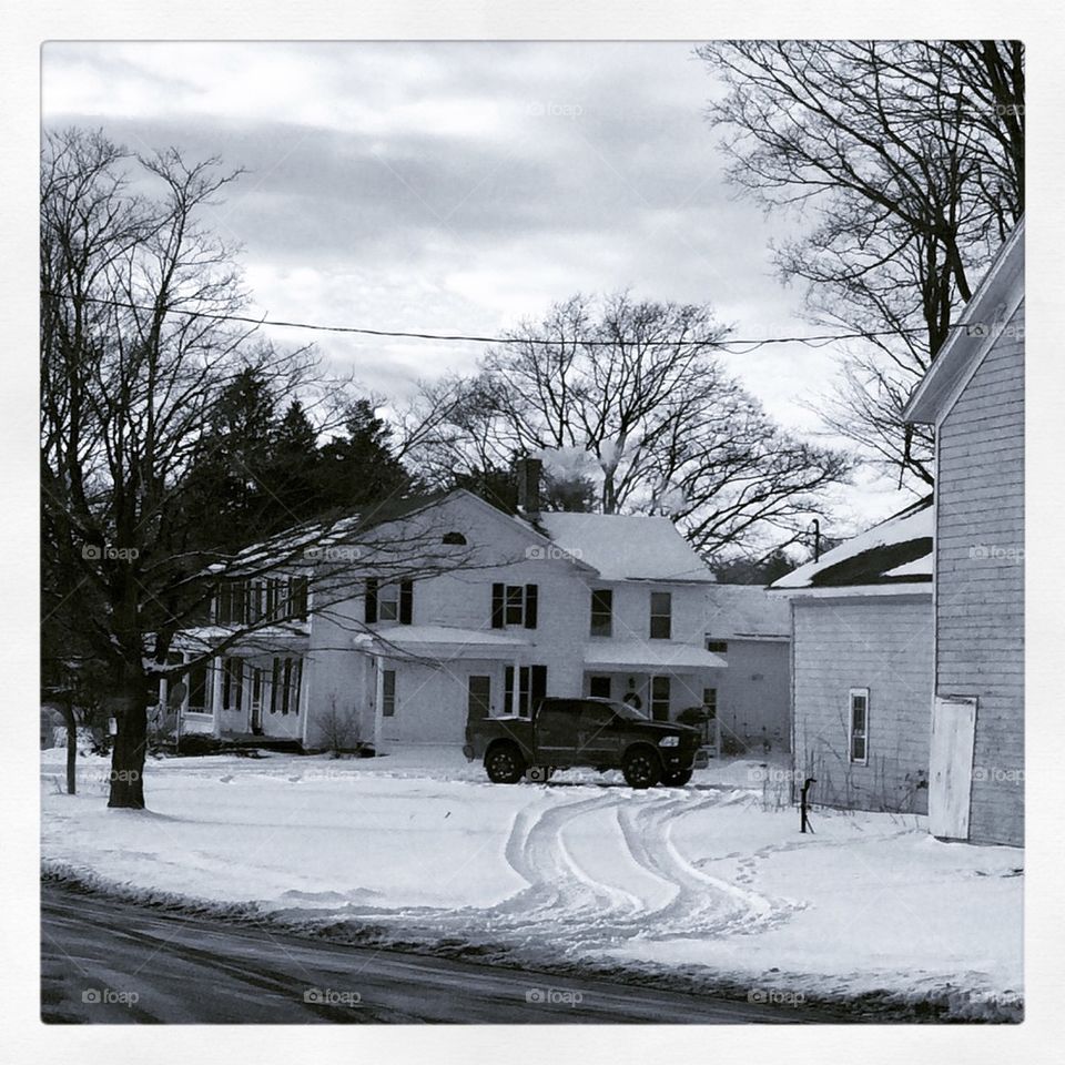 Upstate Humming Alpacas