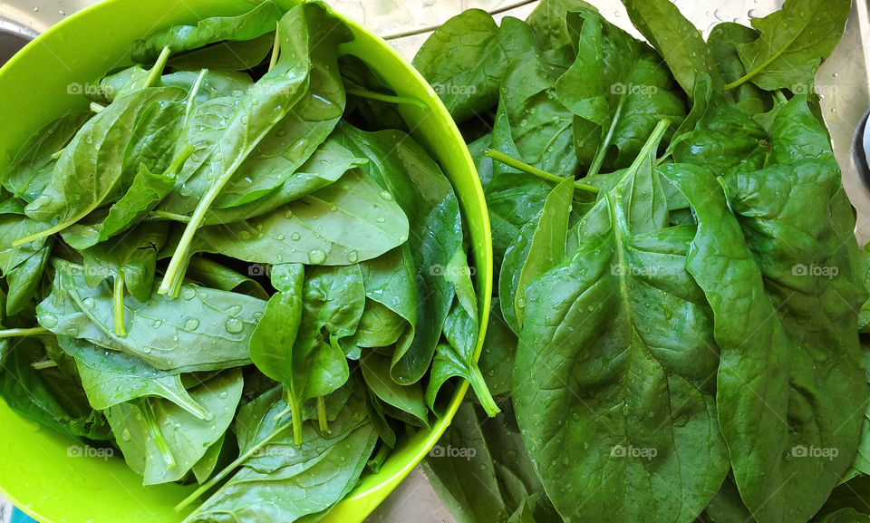 Fresh spinach