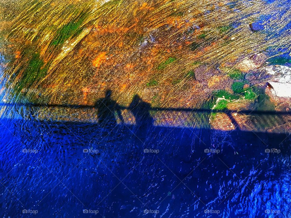 shadows on the river