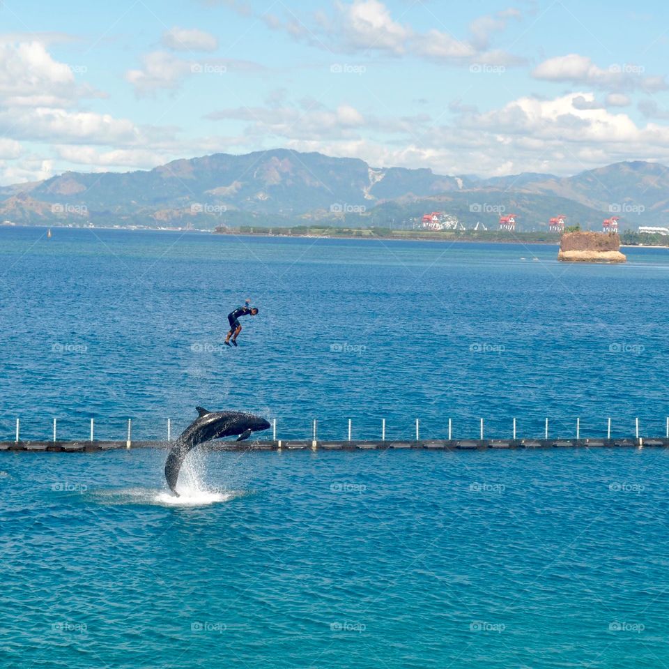 Dolphin playing with human