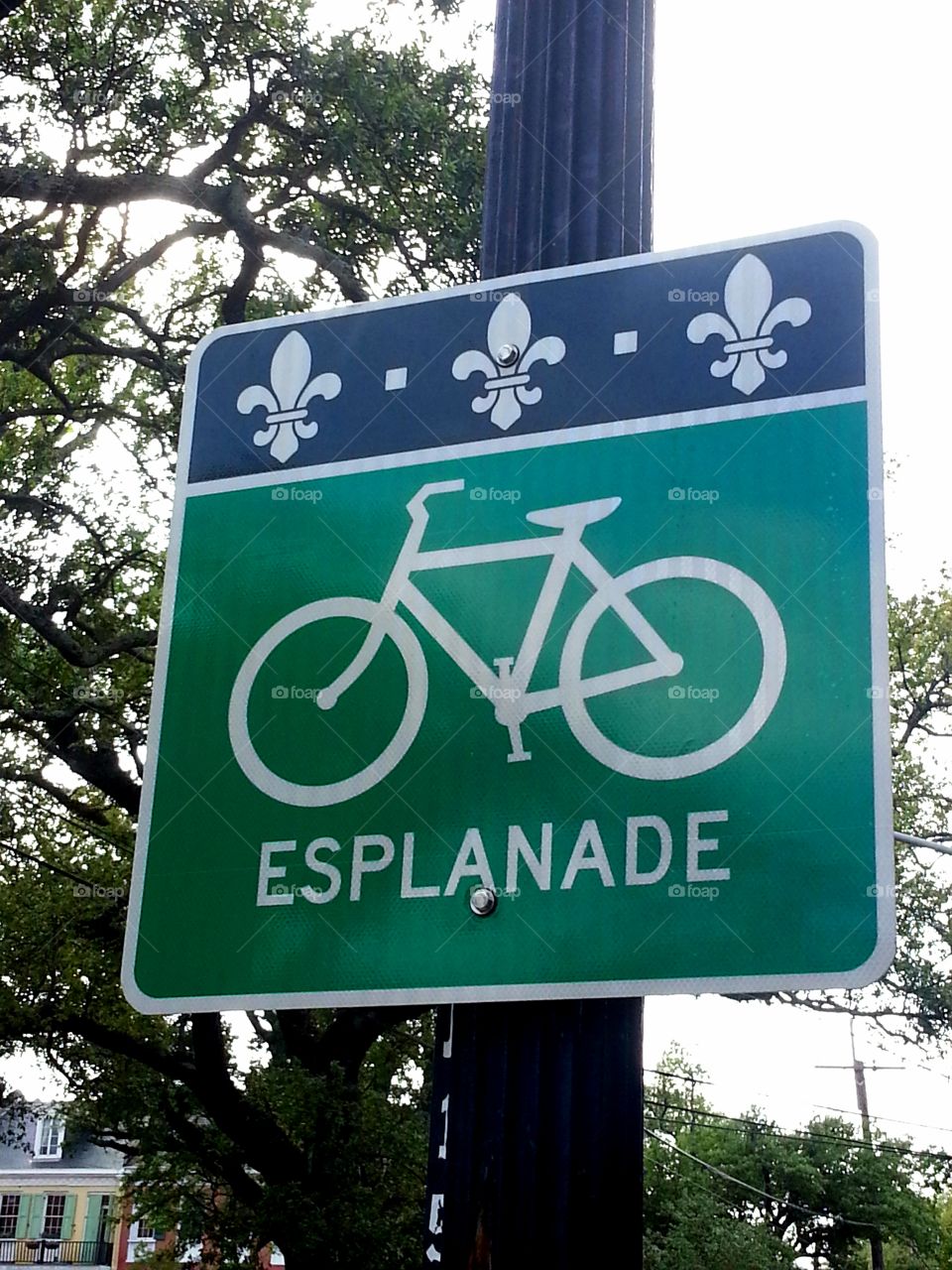 Esplanade