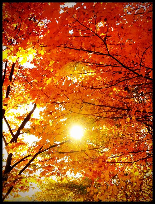 Fall